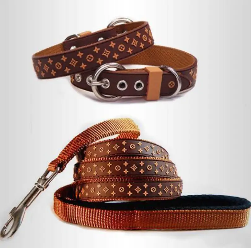 Trendy Pet Collar & Lead