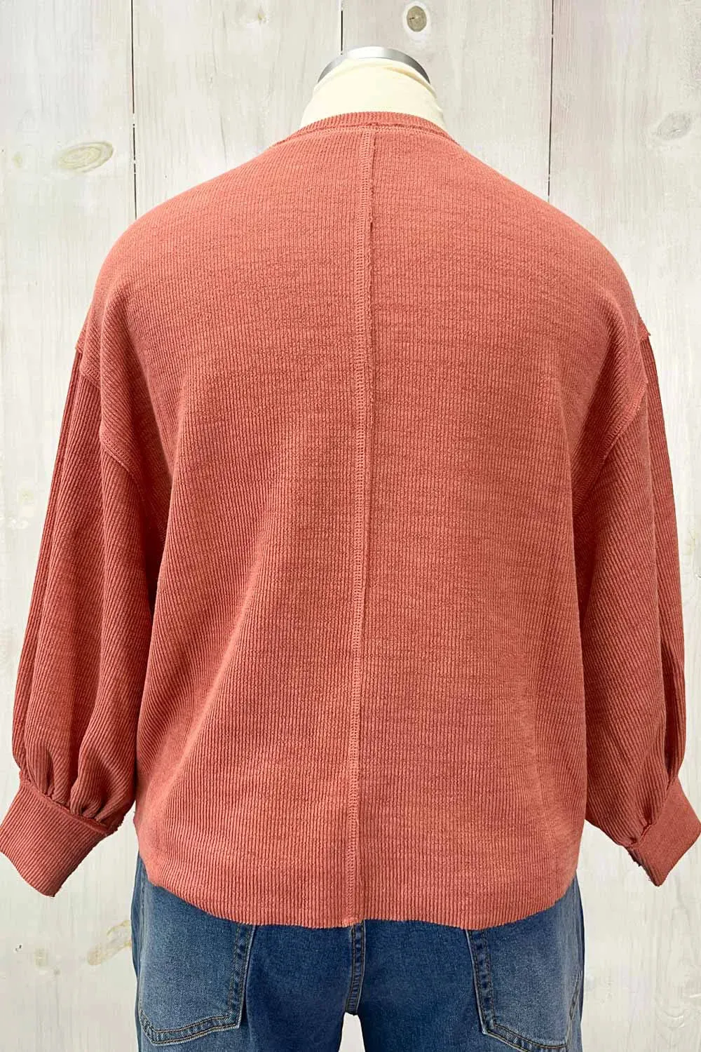 Plus Size Balloon Sleeve Crew Neck Relaxed Fit Boutique Top