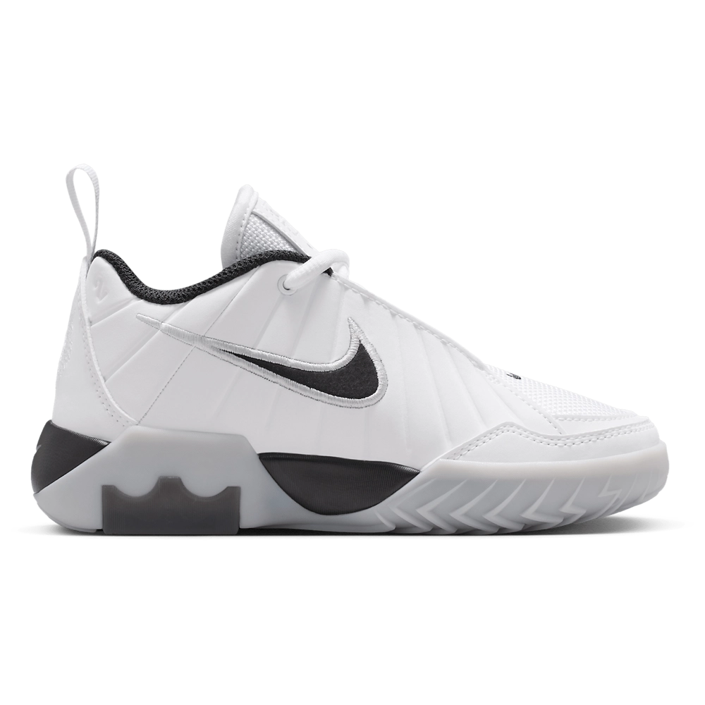 Nike Lebron Witness IX