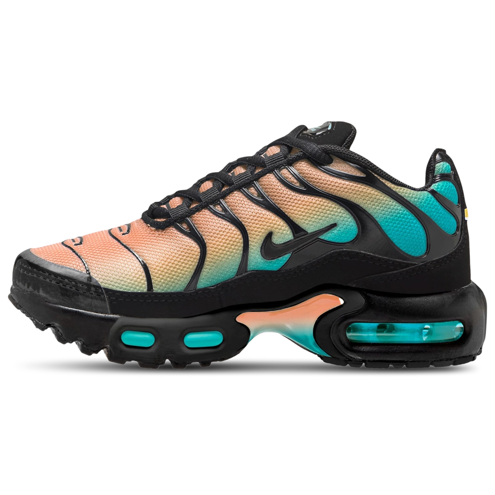 Nike Air Max Plus