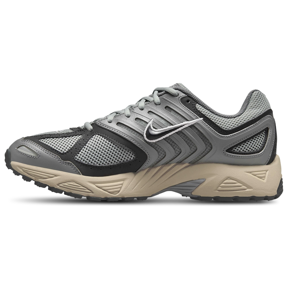 Nike Air Pegasus 2005