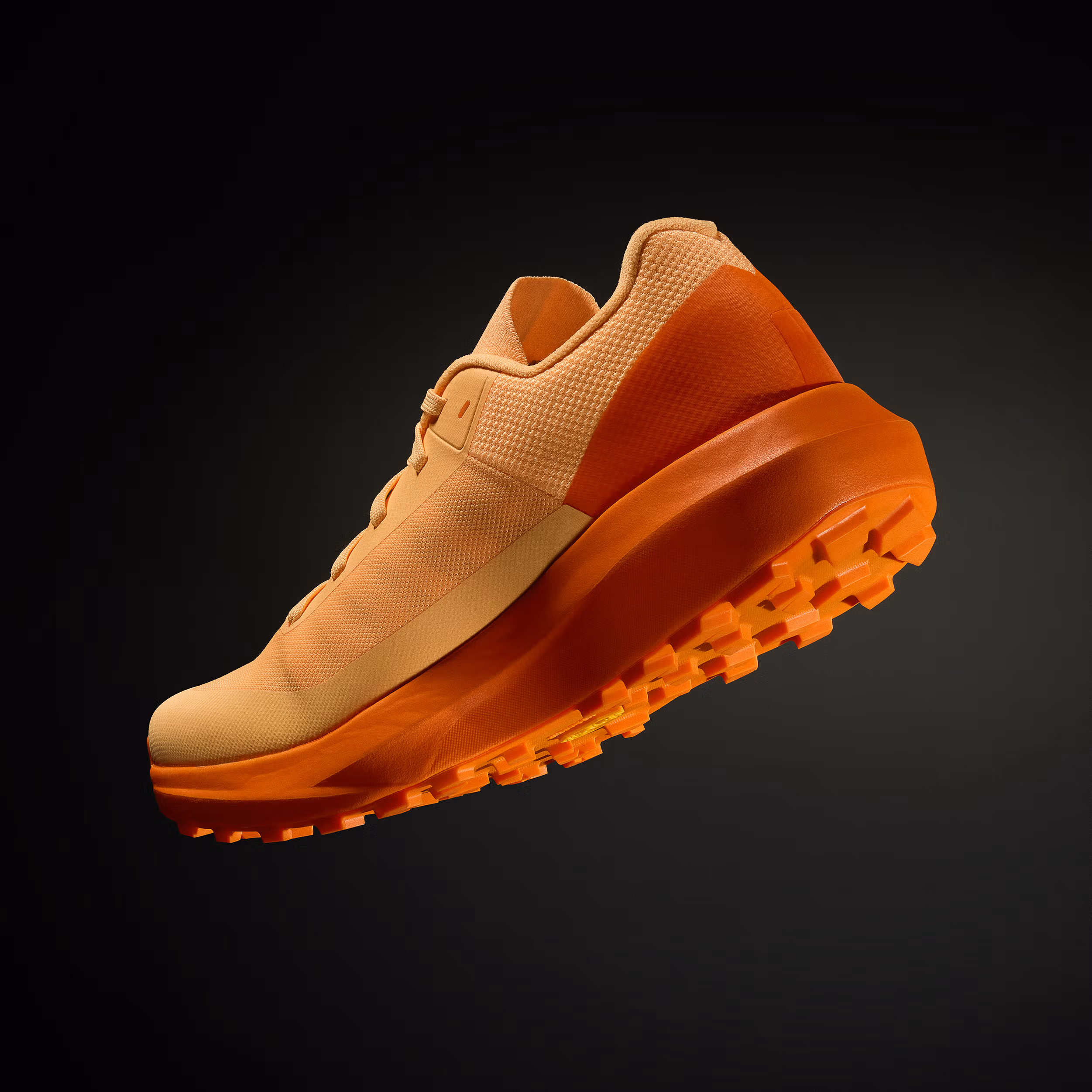 Norvan LD 4 Shoe Women's