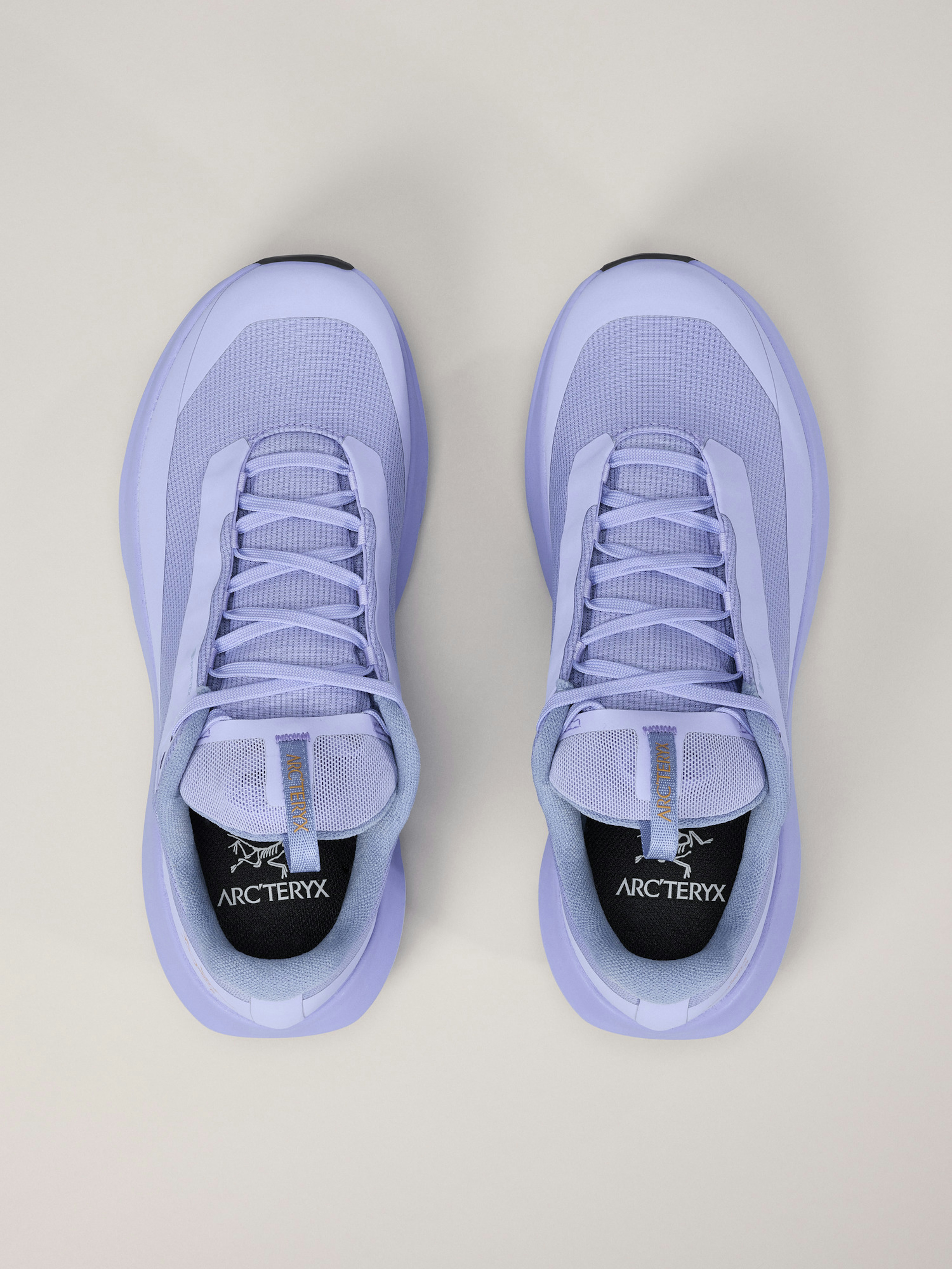 Norvan LD 4 GTX Shoe Women's