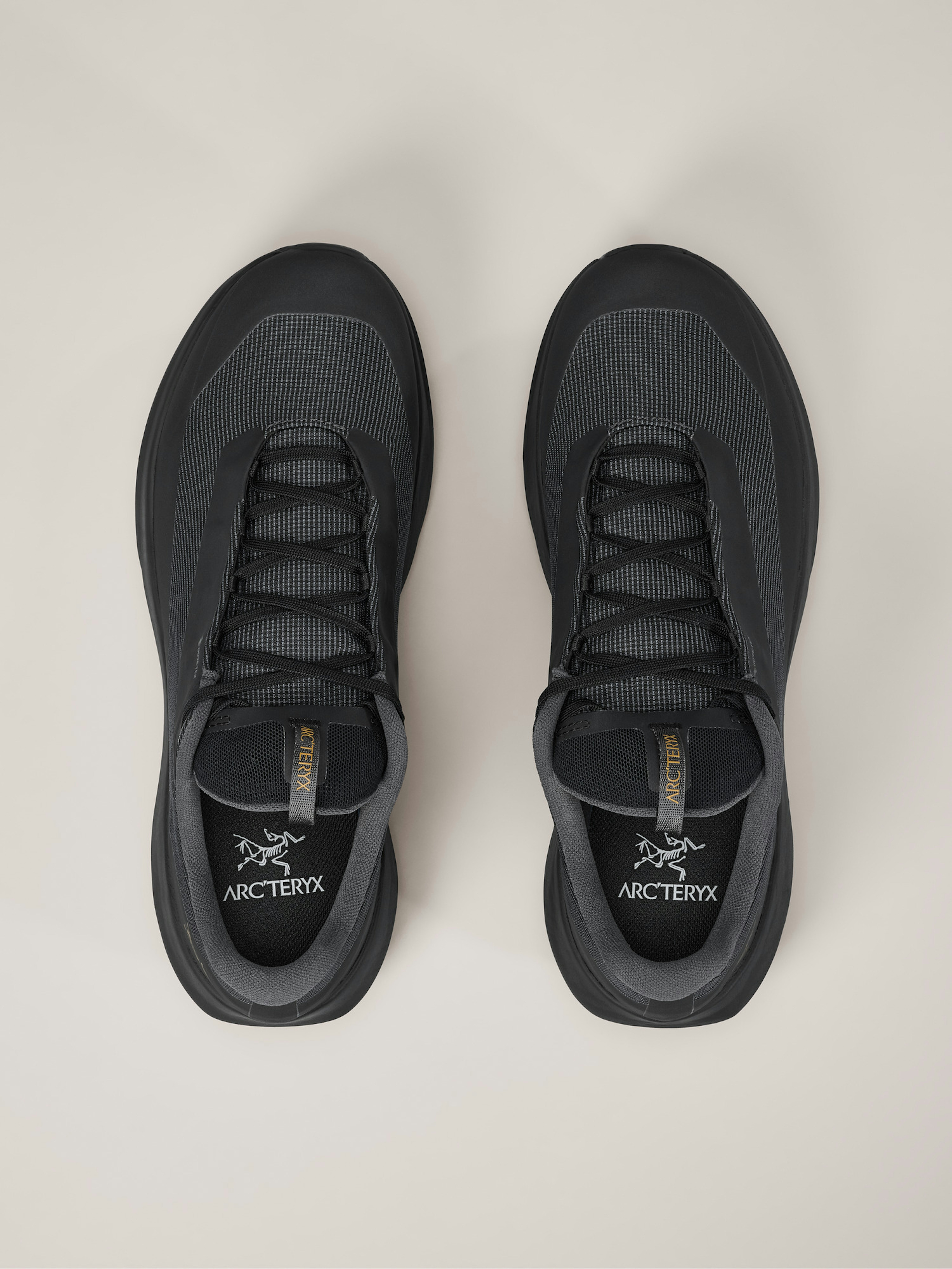 Norvan LD 4 GTX Shoe Women's