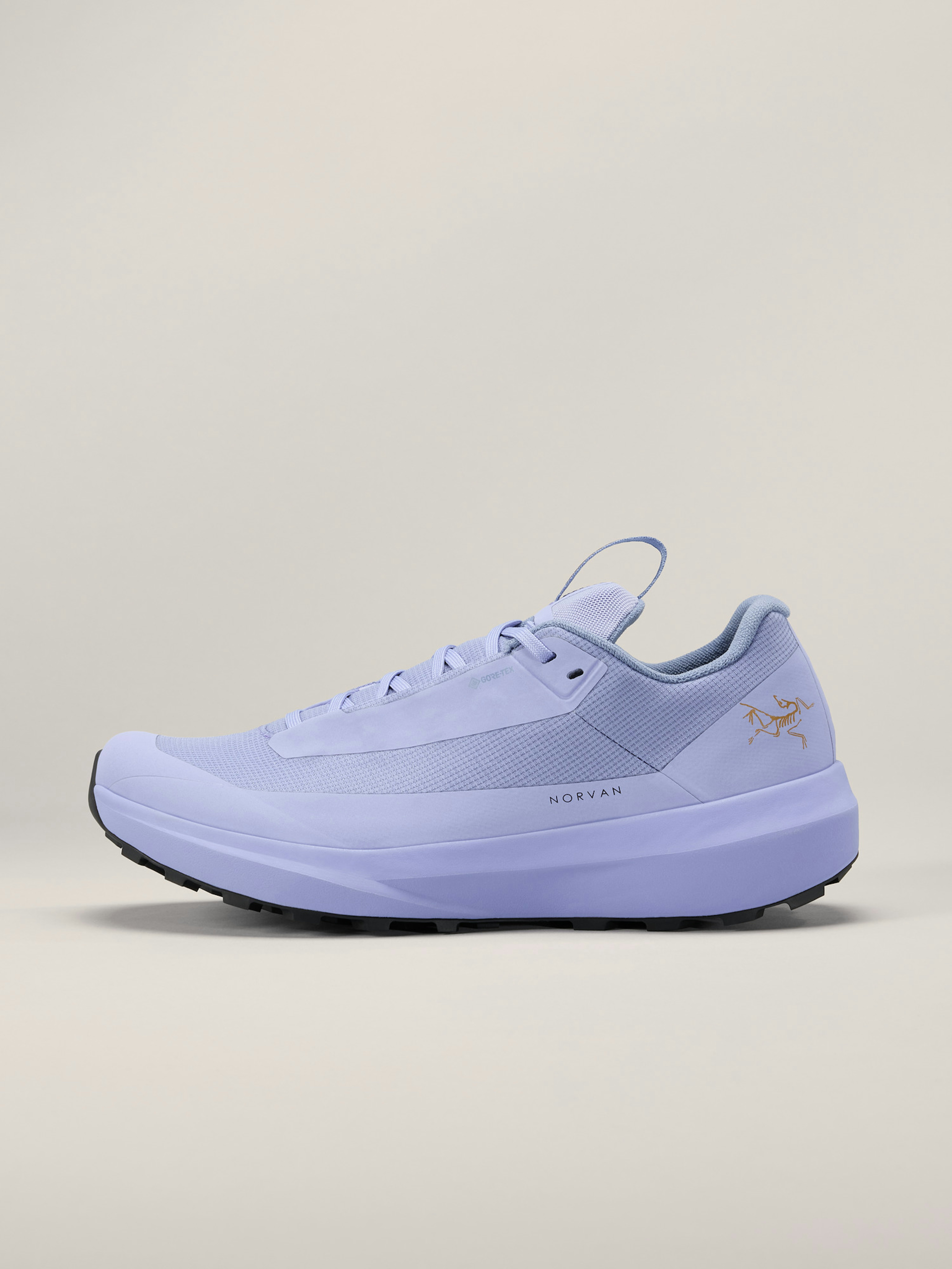 Norvan LD 4 GTX Shoe Women's