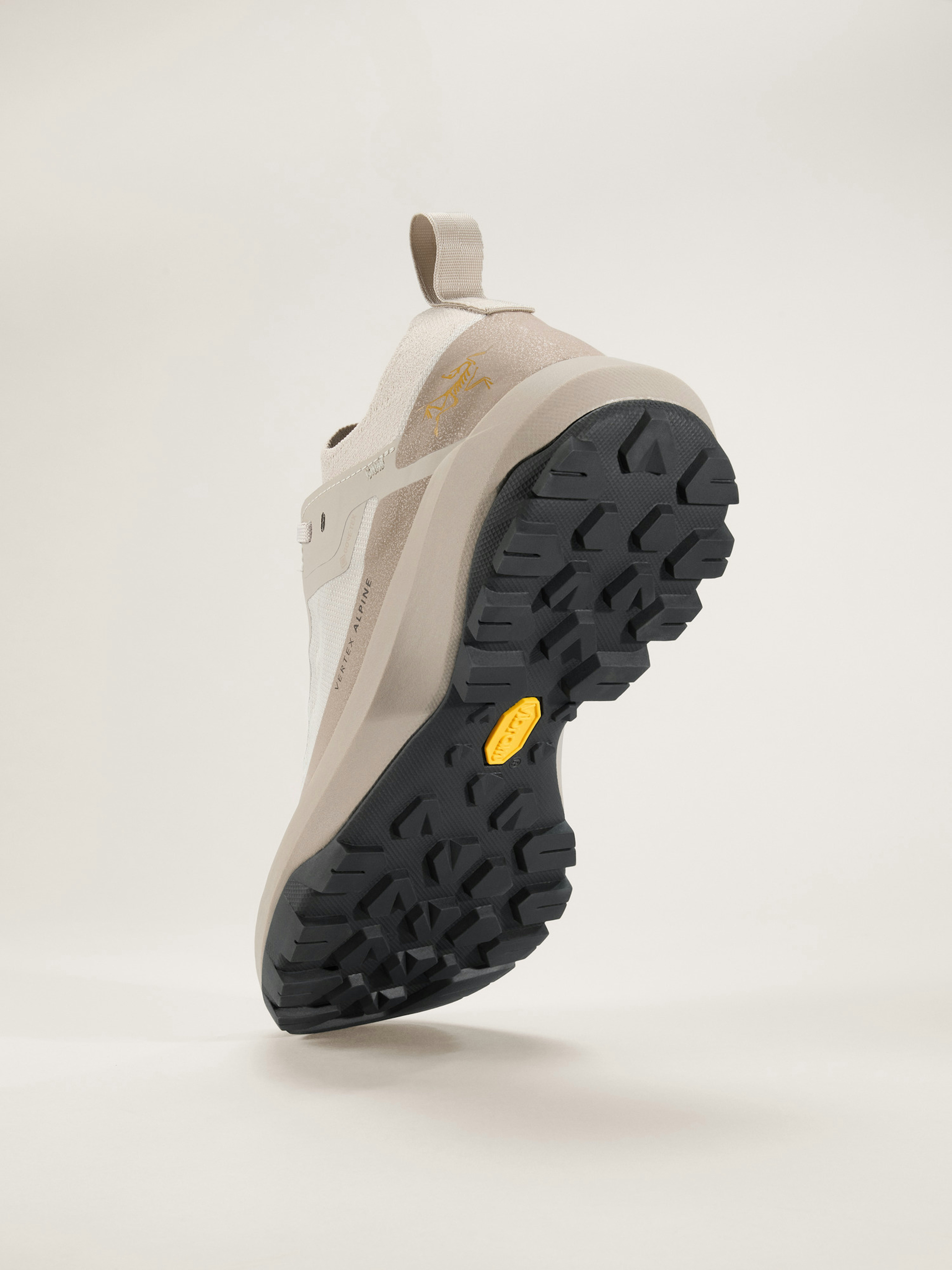 Vertex Alpine GTX Shoe Women's