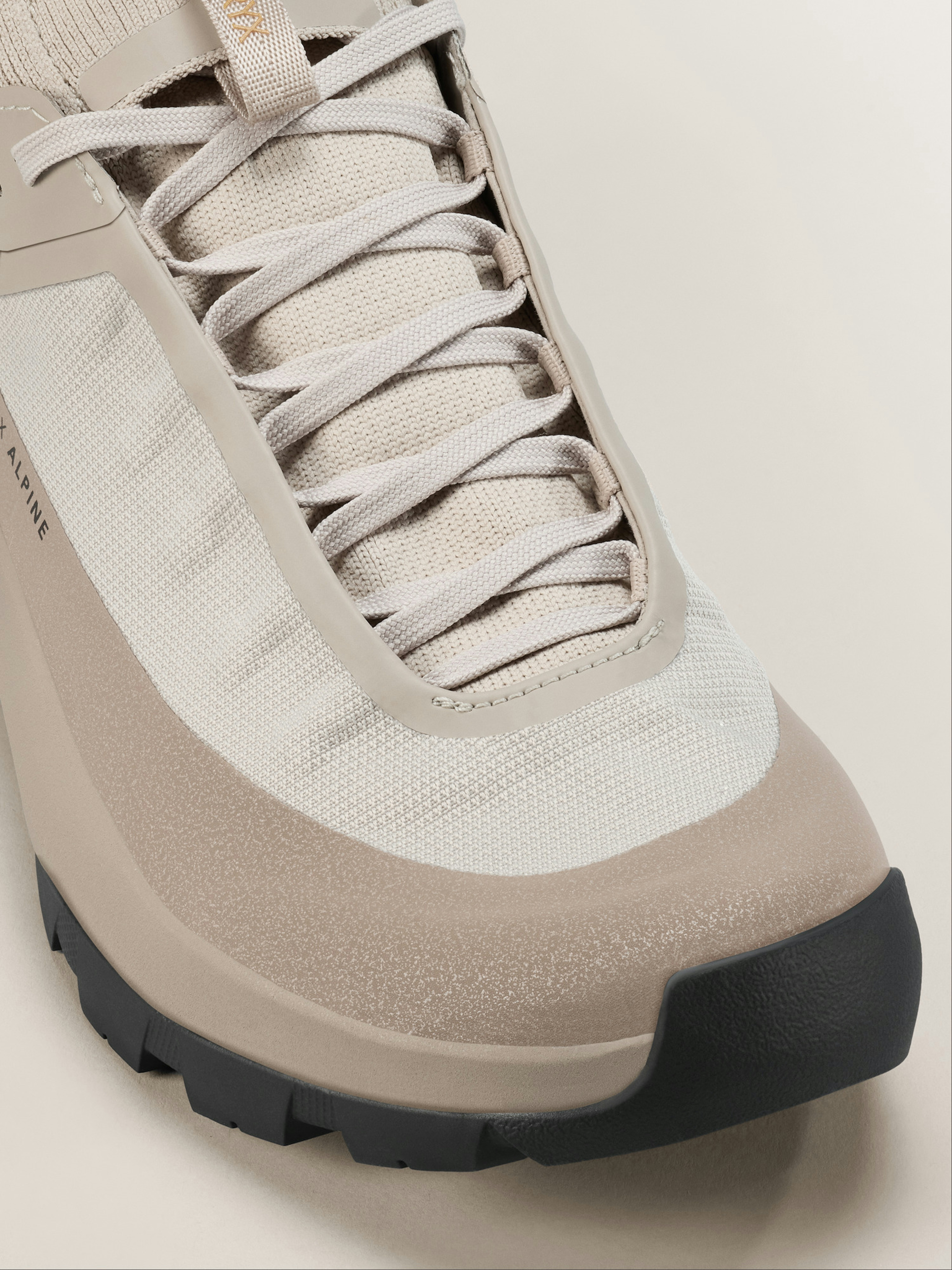 Vertex Alpine GTX Shoe Women's