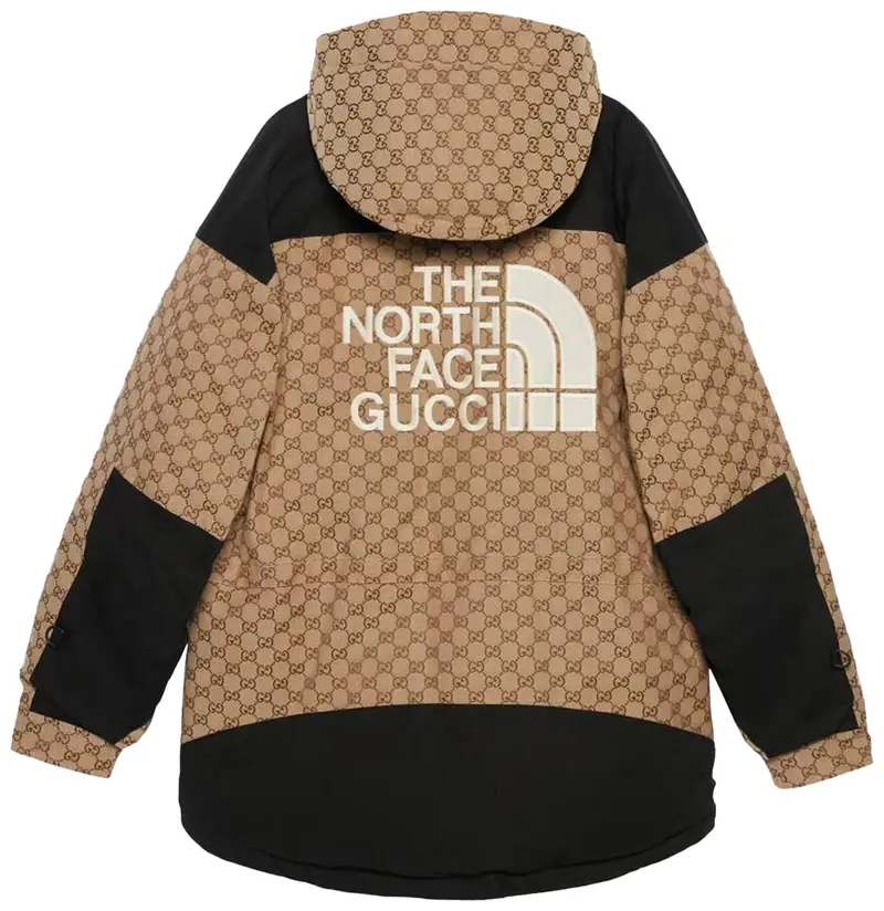 Gucci x The North Face Down Jacket 'Beige/Ebony/Black' | Multi-Color