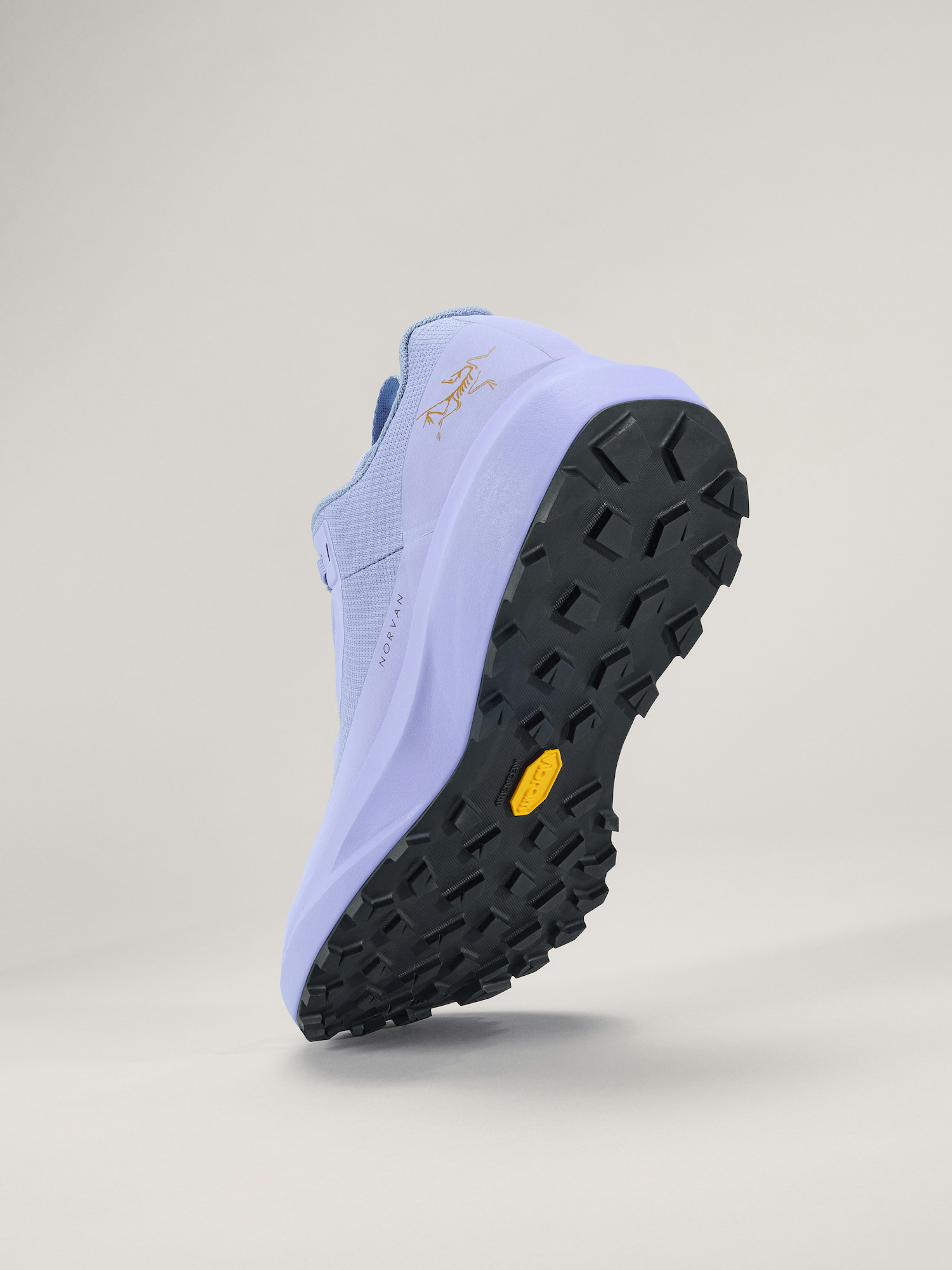 Norvan LD 4 GTX Shoe Women's