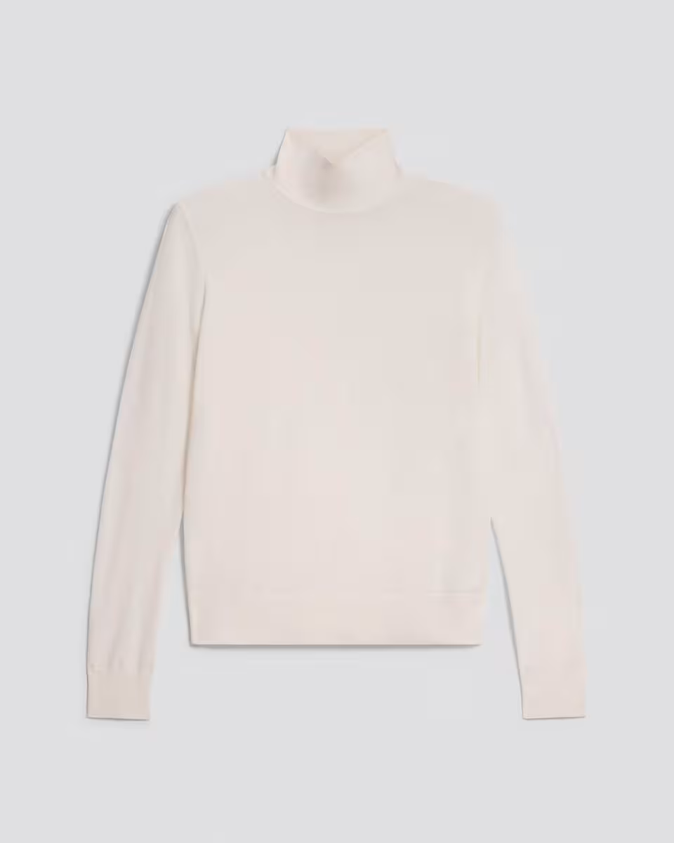 Turtleneck Sweater in Regal Wool