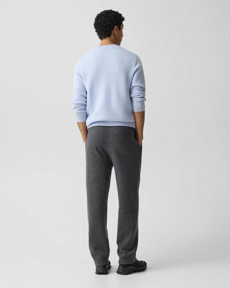 Jogger in Boiled Wool