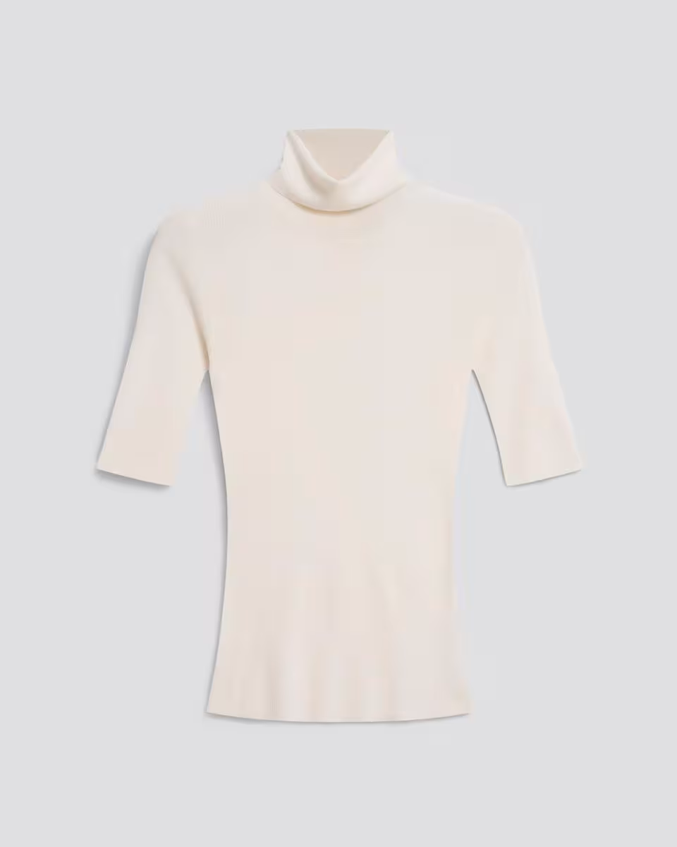 Leenda Short-Sleeve Turtleneck in Regal Wool