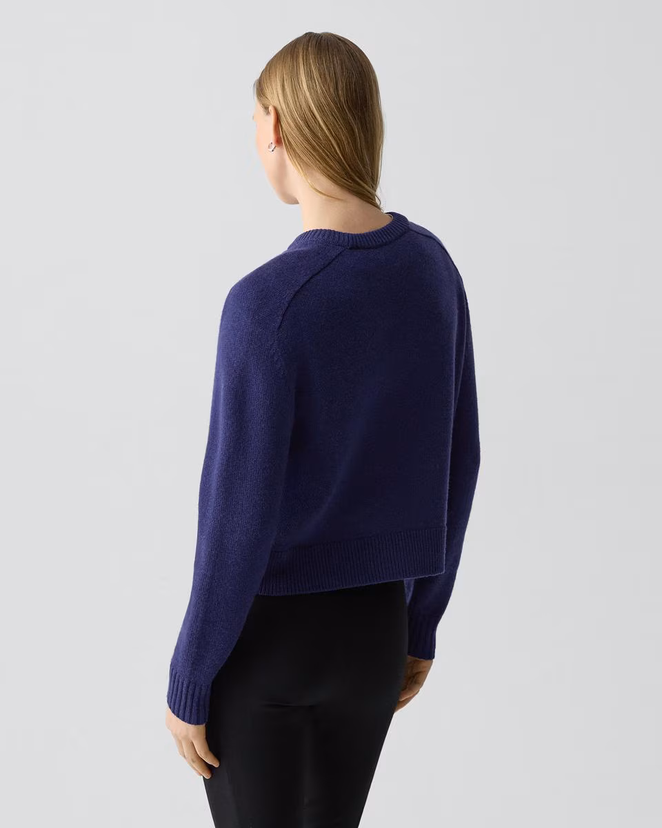 Cropped Crewneck Sweater in Cashmere