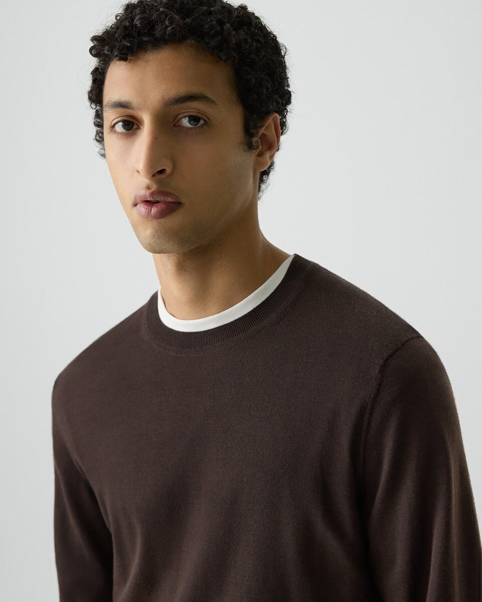 Crewneck Sweater in Regal Wool