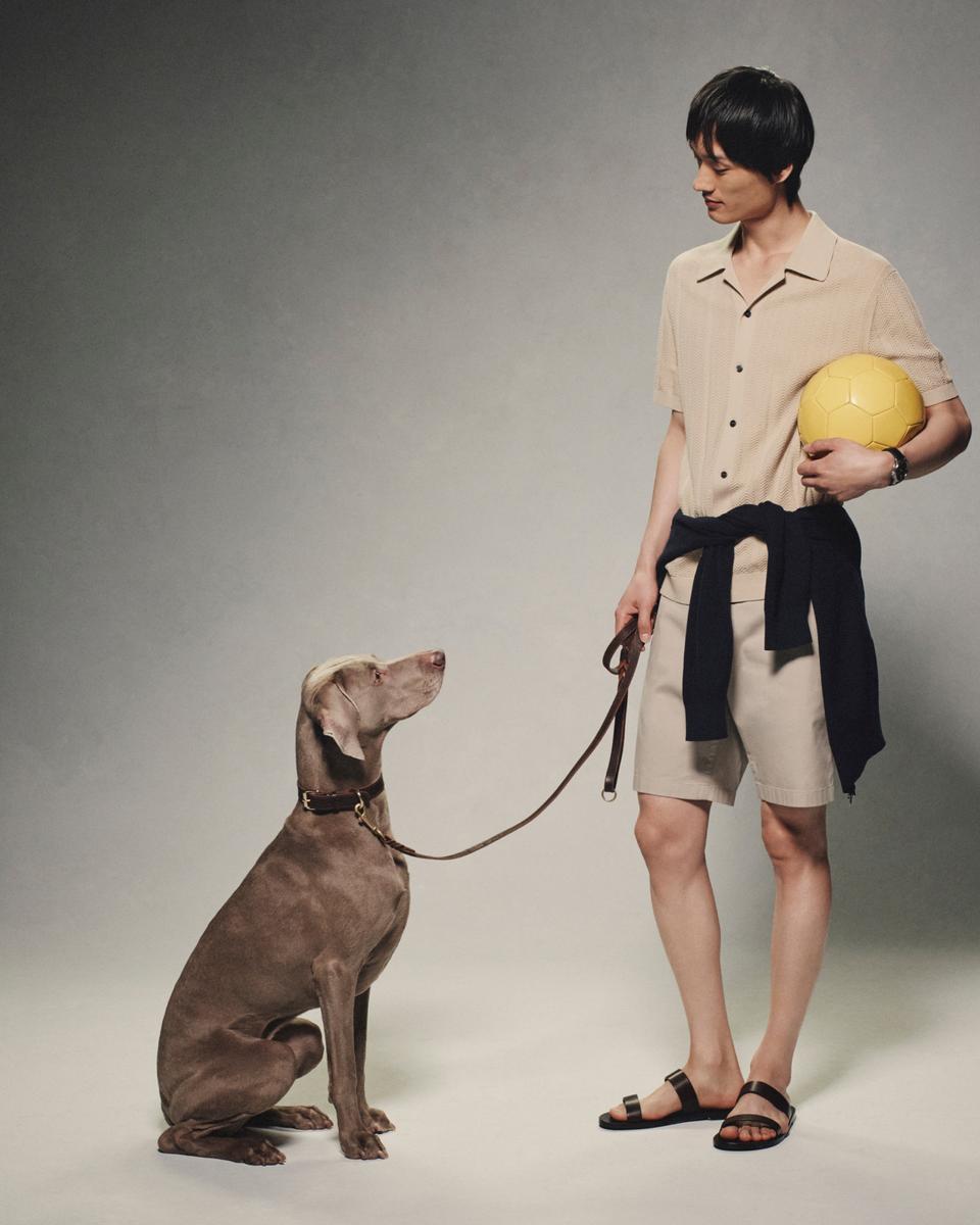 Zaine Short in Stretch Cotton