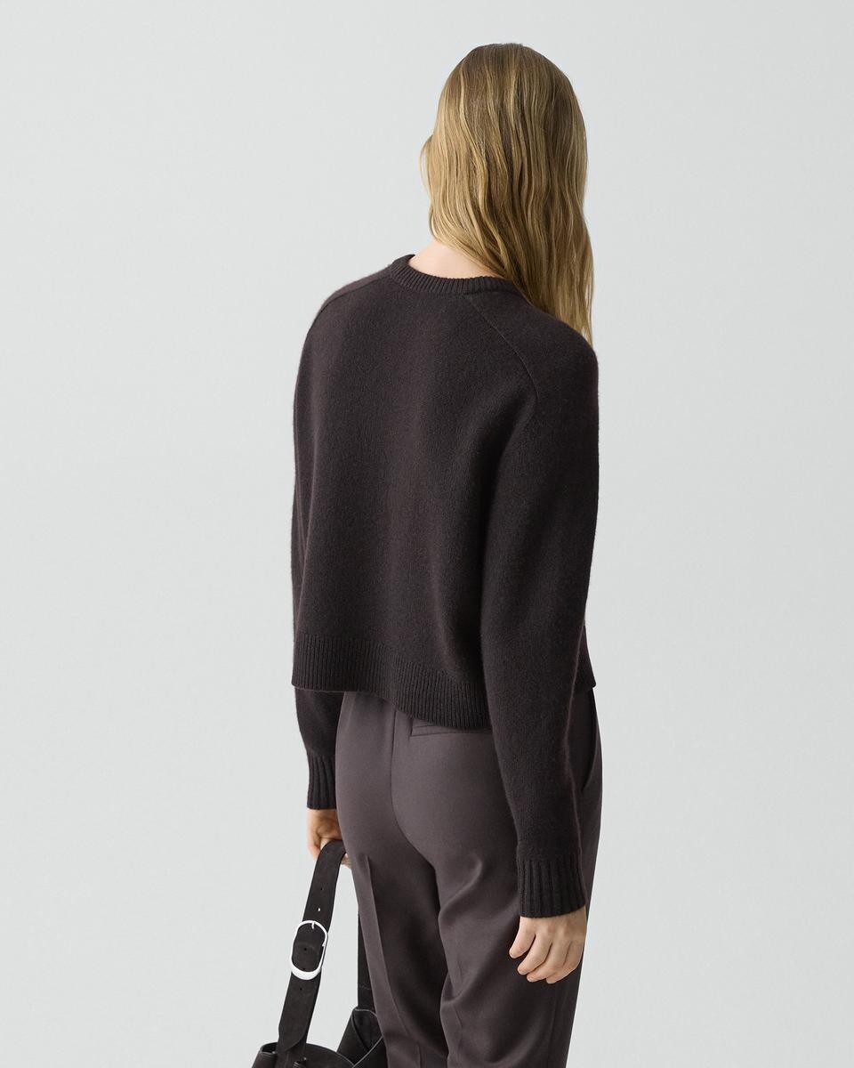 Cropped Crewneck Sweater in Cashmere