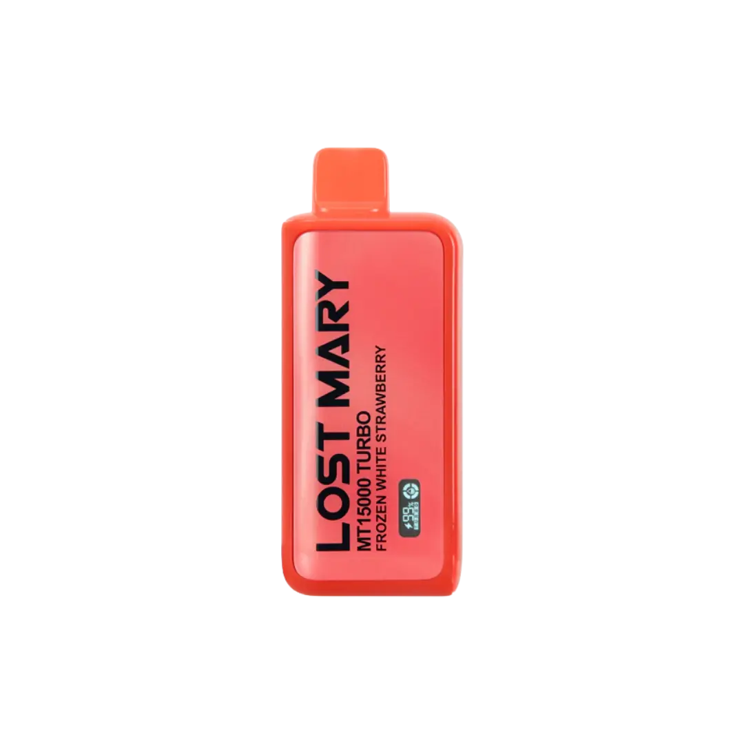 LOST MARY MT15000 TURBO RECHARGEABLE DISPOSABLE DEVICE - Geek Pulse US