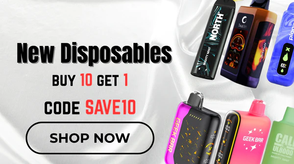 DISPOSABLES - Geek X Vape US