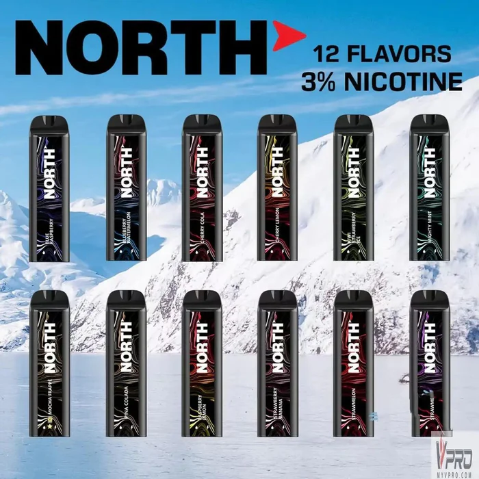 North 5000 Puffs 3% Disposable - Geek X Vape US