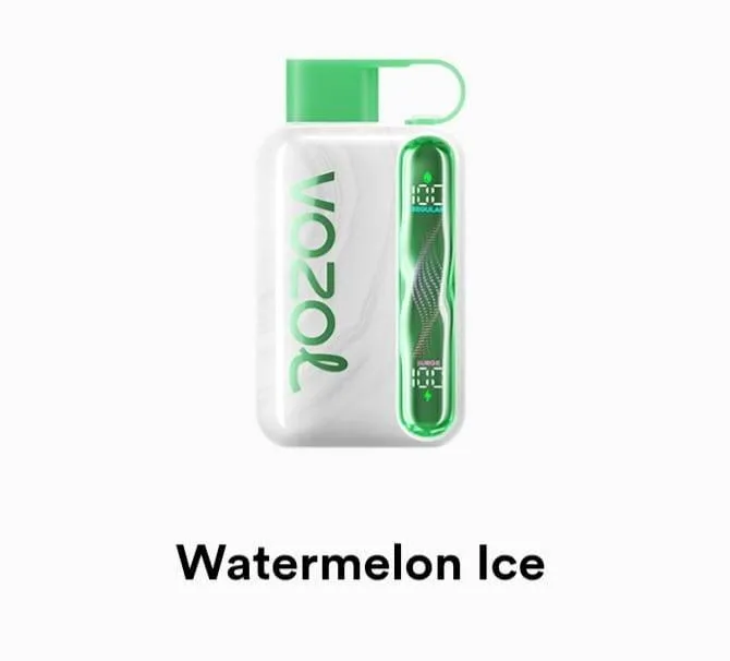 VOZOL Star 40000 Disposable - Geek X Vape US