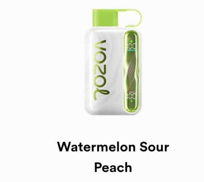 VOZOL Star 40000 Disposable - Geek X Vape US