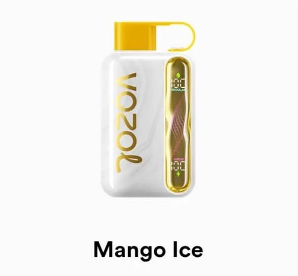 VOZOL Star 40000 Disposable - Geek X Vape US