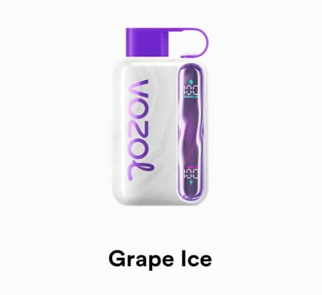 VOZOL Star 40000 Disposable - Geek X Vape US