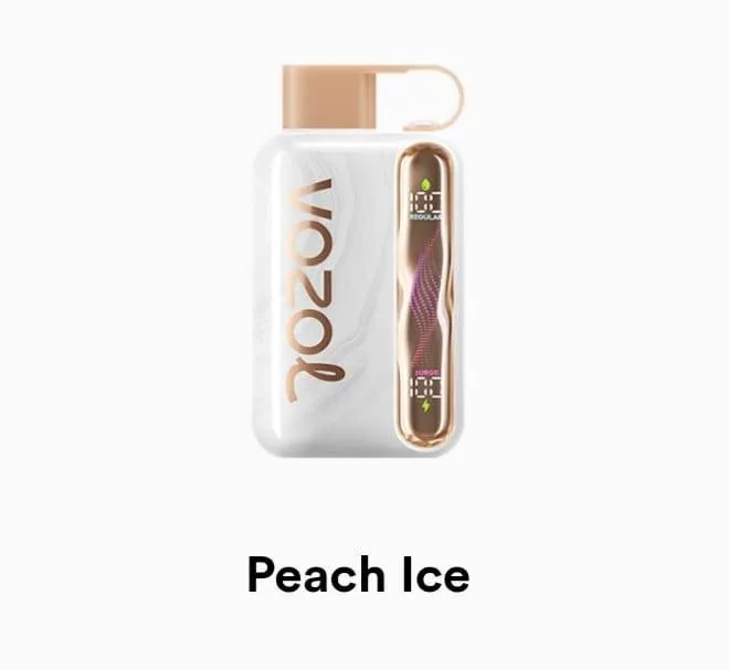 VOZOL Star 40000 Disposable - Geek X Vape US