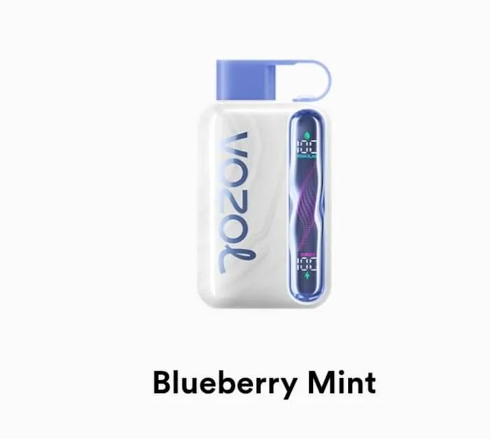 VOZOL Star 40000 Disposable - Geek X Vape US