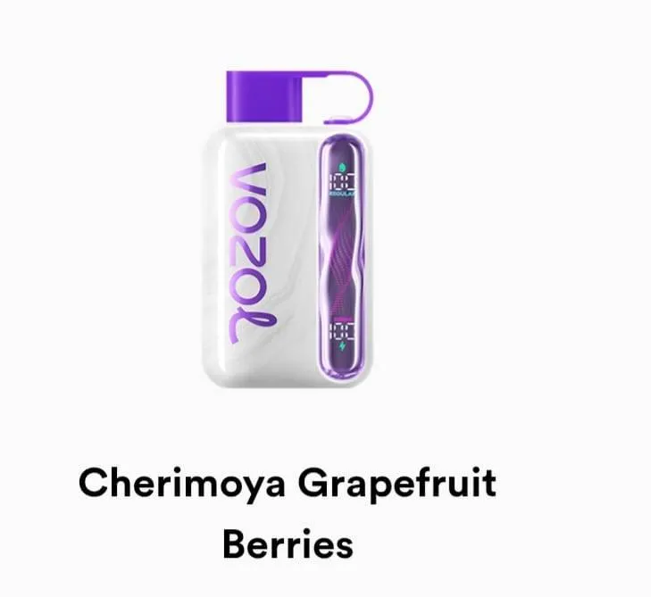 VOZOL Star 40000 Disposable - Geek X Vape US