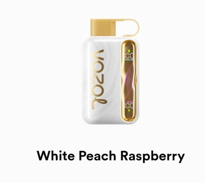 VOZOL Star 40000 Disposable - Geek X Vape US