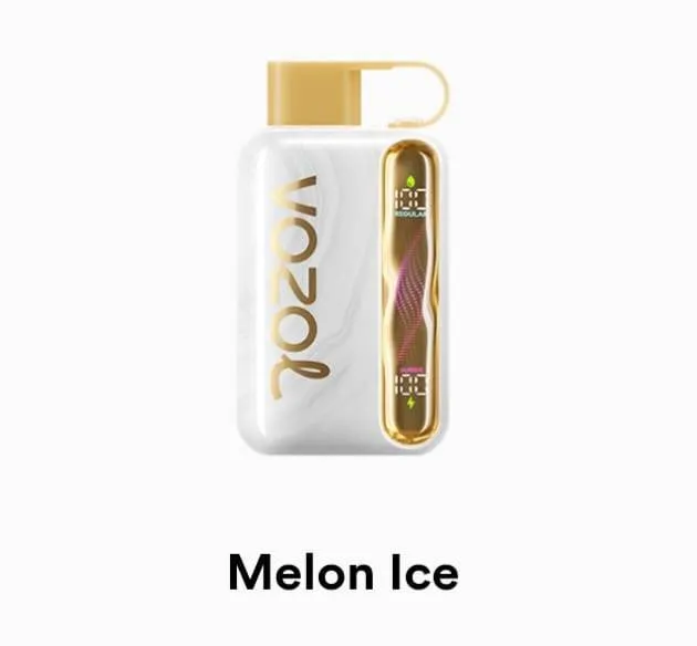 VOZOL Star 40000 Disposable - Geek X Vape US