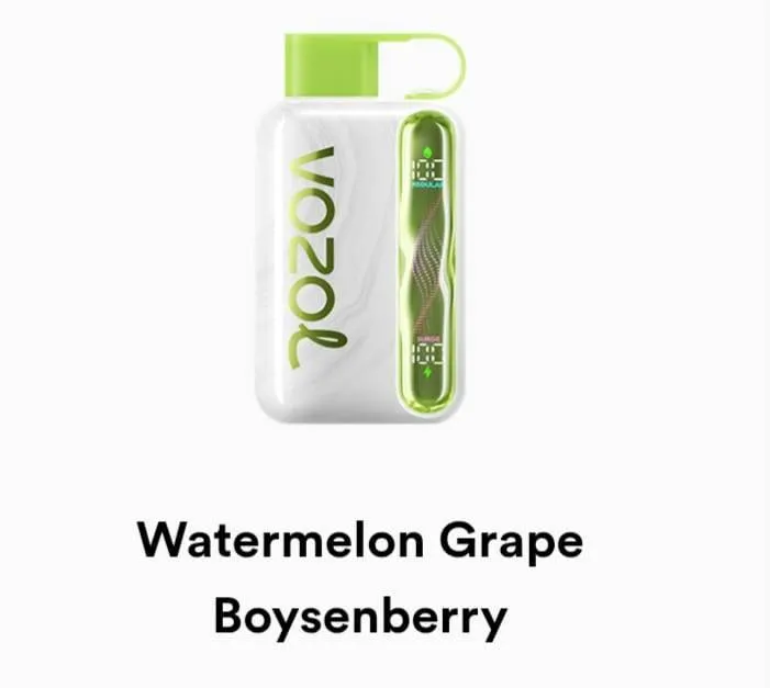 VOZOL Star 40000 Disposable - Geek X Vape US