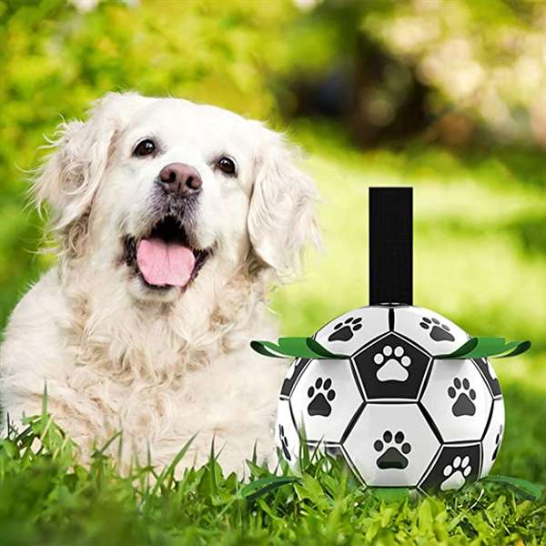 ⚽Dog toy soccer ball with grab tabs - Buy 2 get 10% off&free shipping