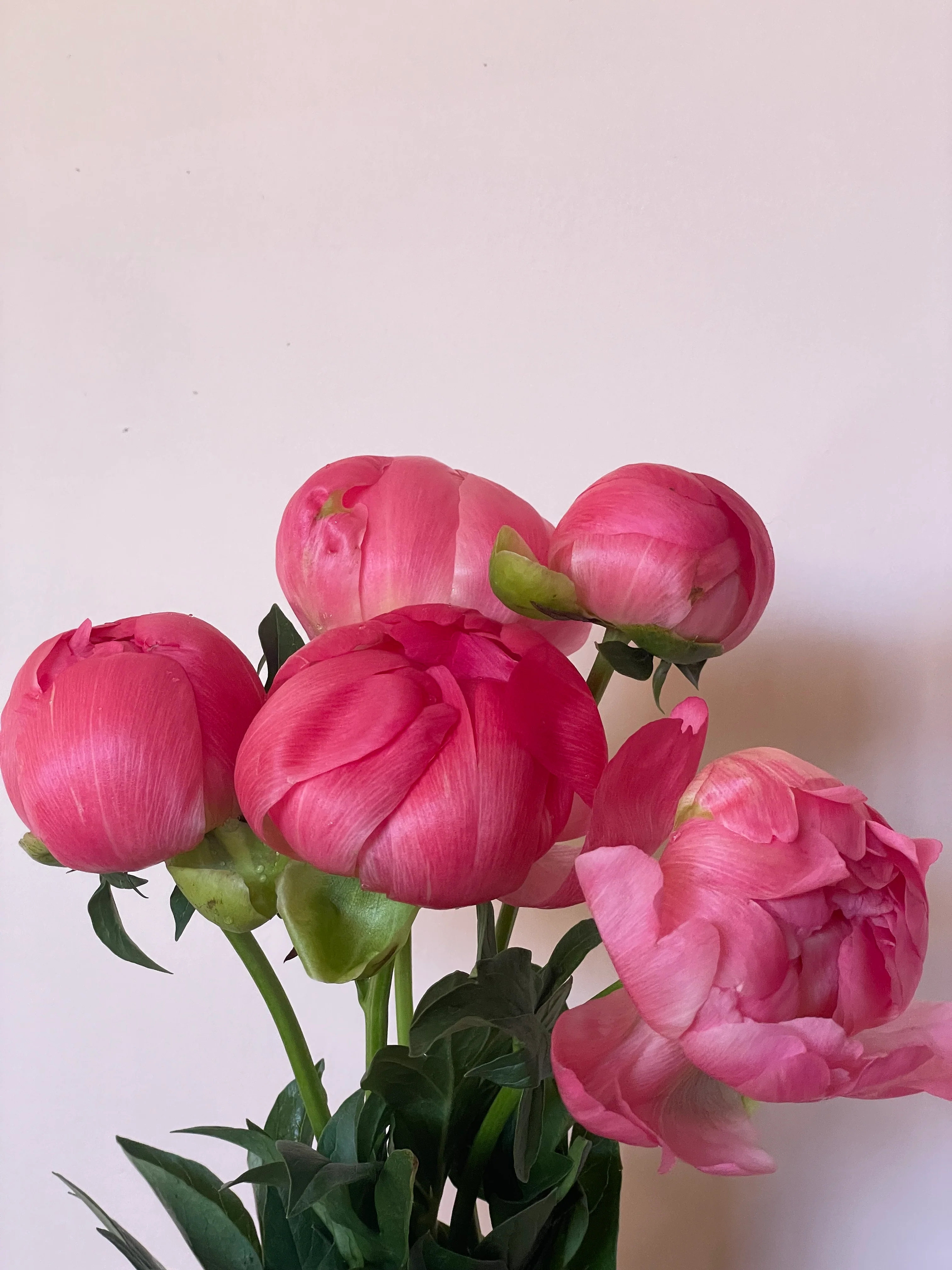 Build your own bouquet