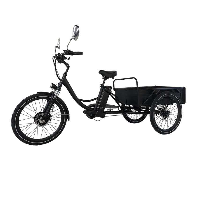 Electric tricycle Cemoto-CEM-ET01C