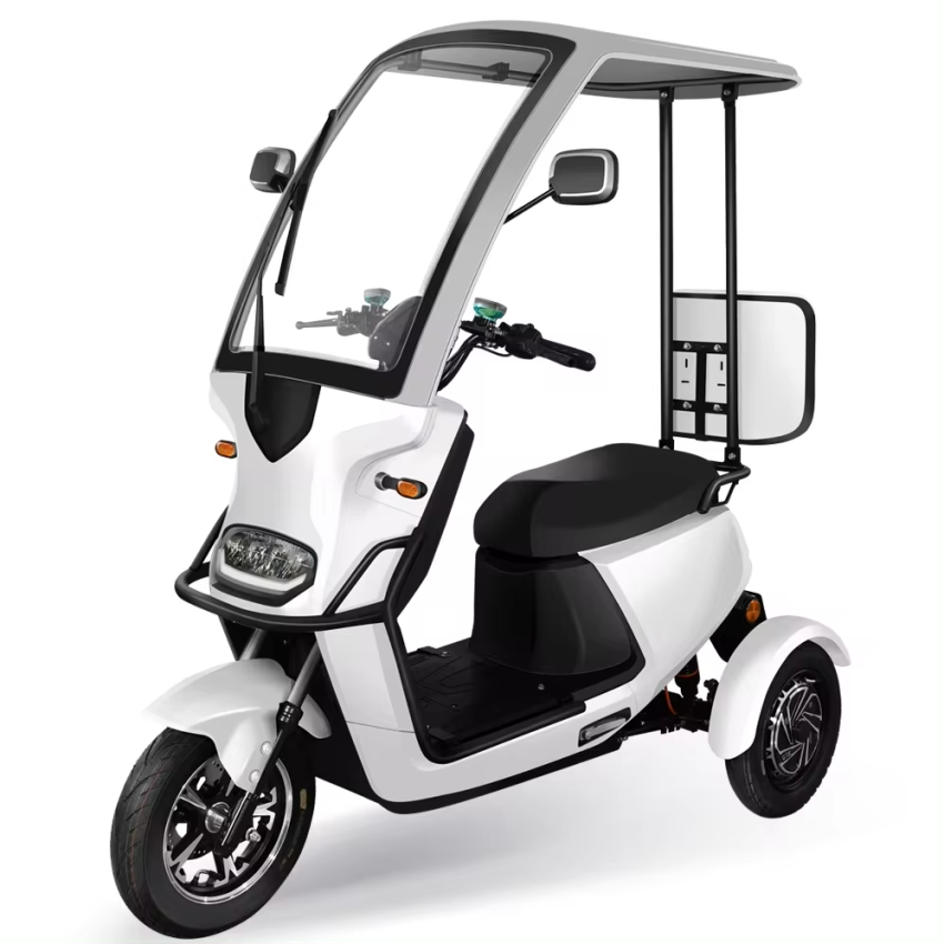 Electric tricycle LEO-LS-3