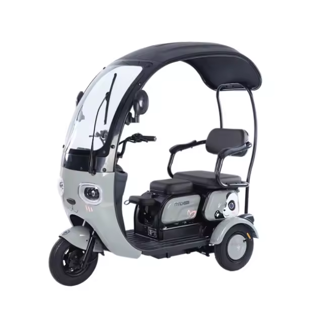 Electric tricycle CHENLU-X6