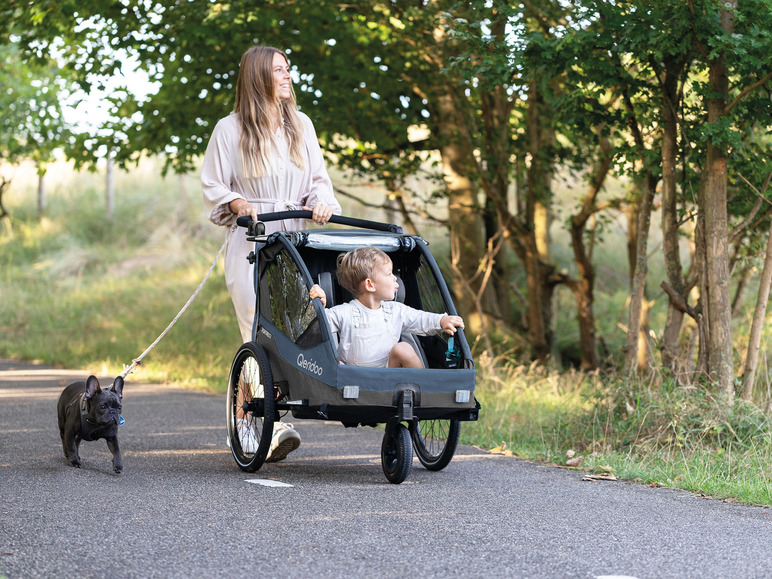 Qeridoo Fahrradanhänger »Sportrex 1 Limited Edition«, Ocean Blue