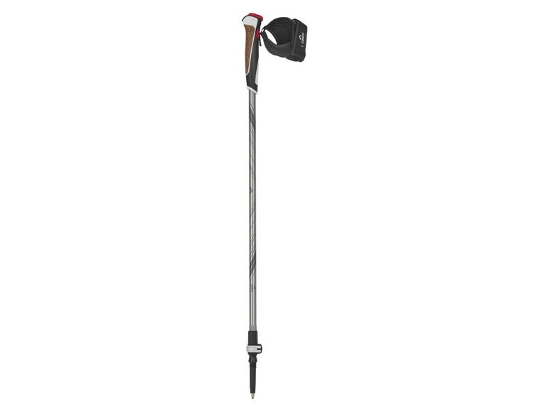CRIVIT Nordic-Walkingstöcke Carbon, 100-125 cm