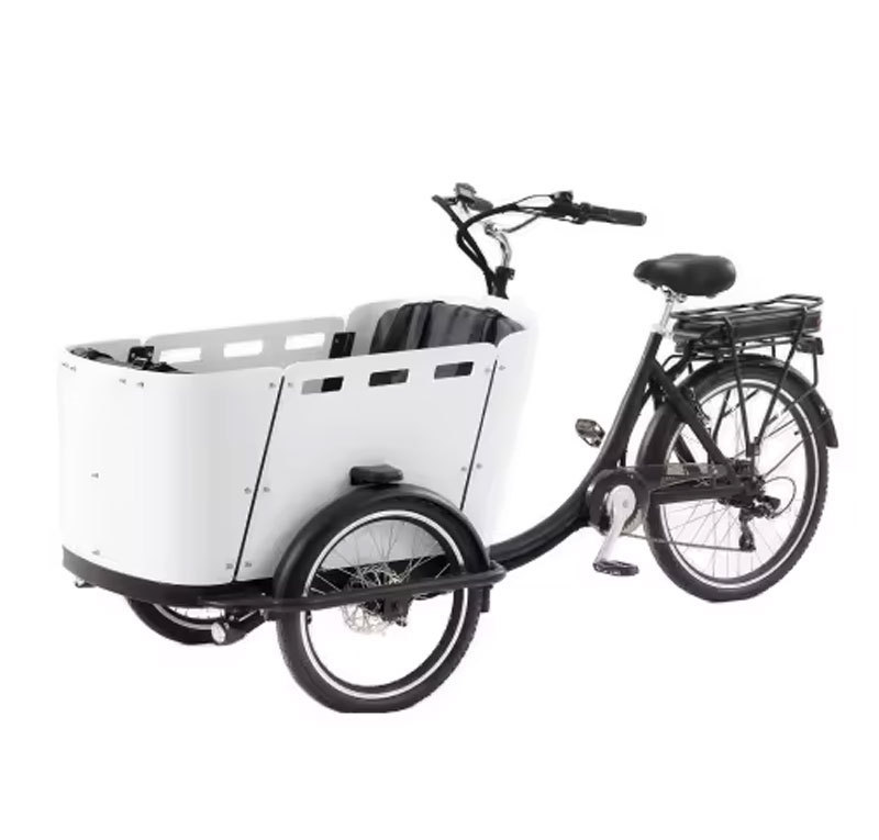 Electric tricycle YASANMOTOR-ET-010 Cargo