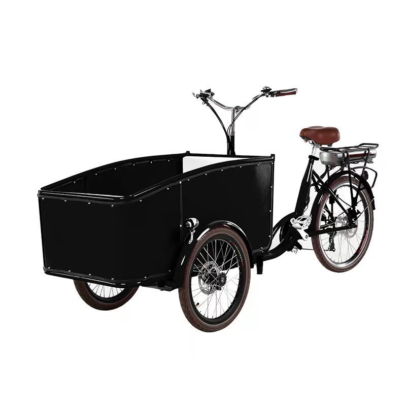 Electric tricycle SLS-0006-2
