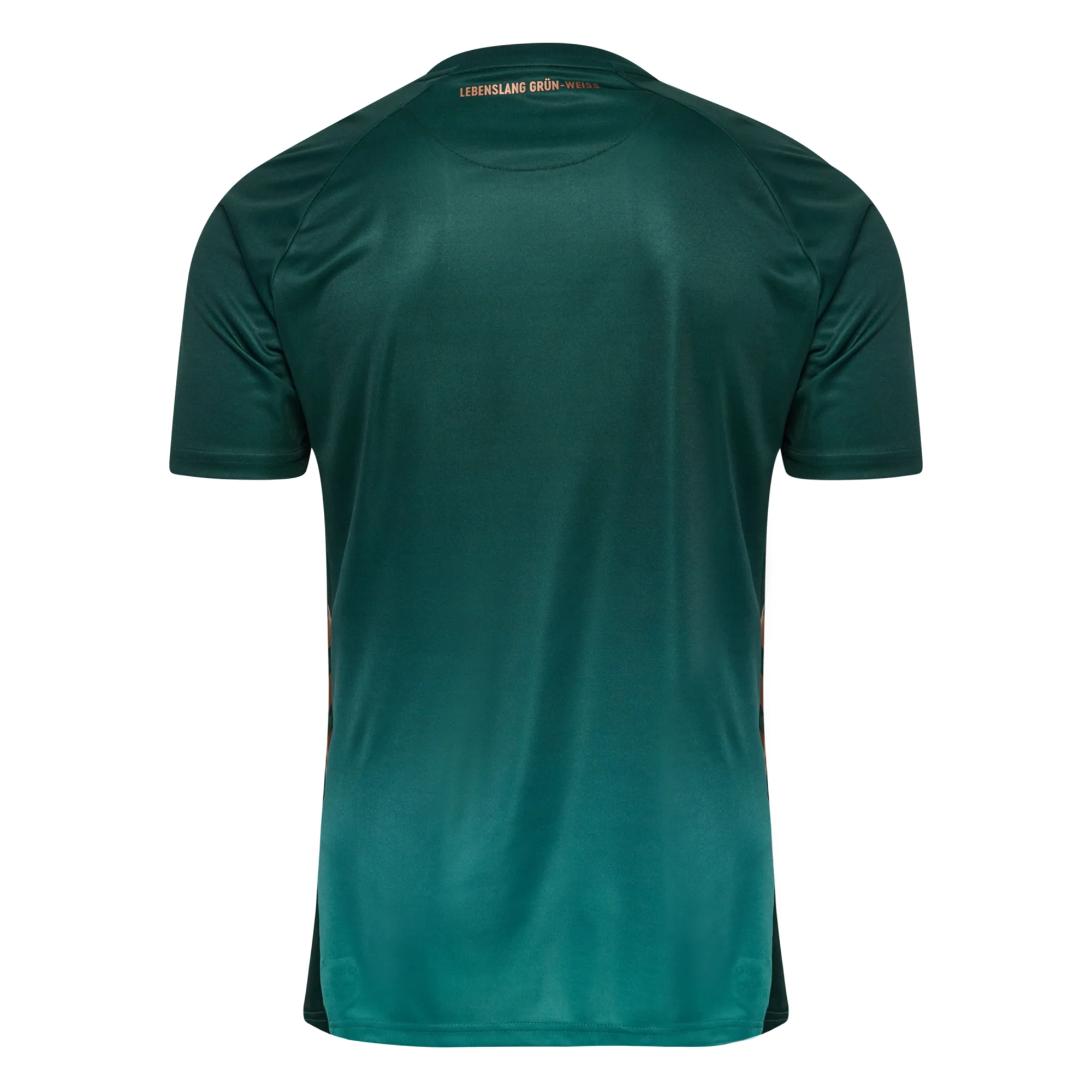 Werder Bremen 25/26 3rd Football Shirt