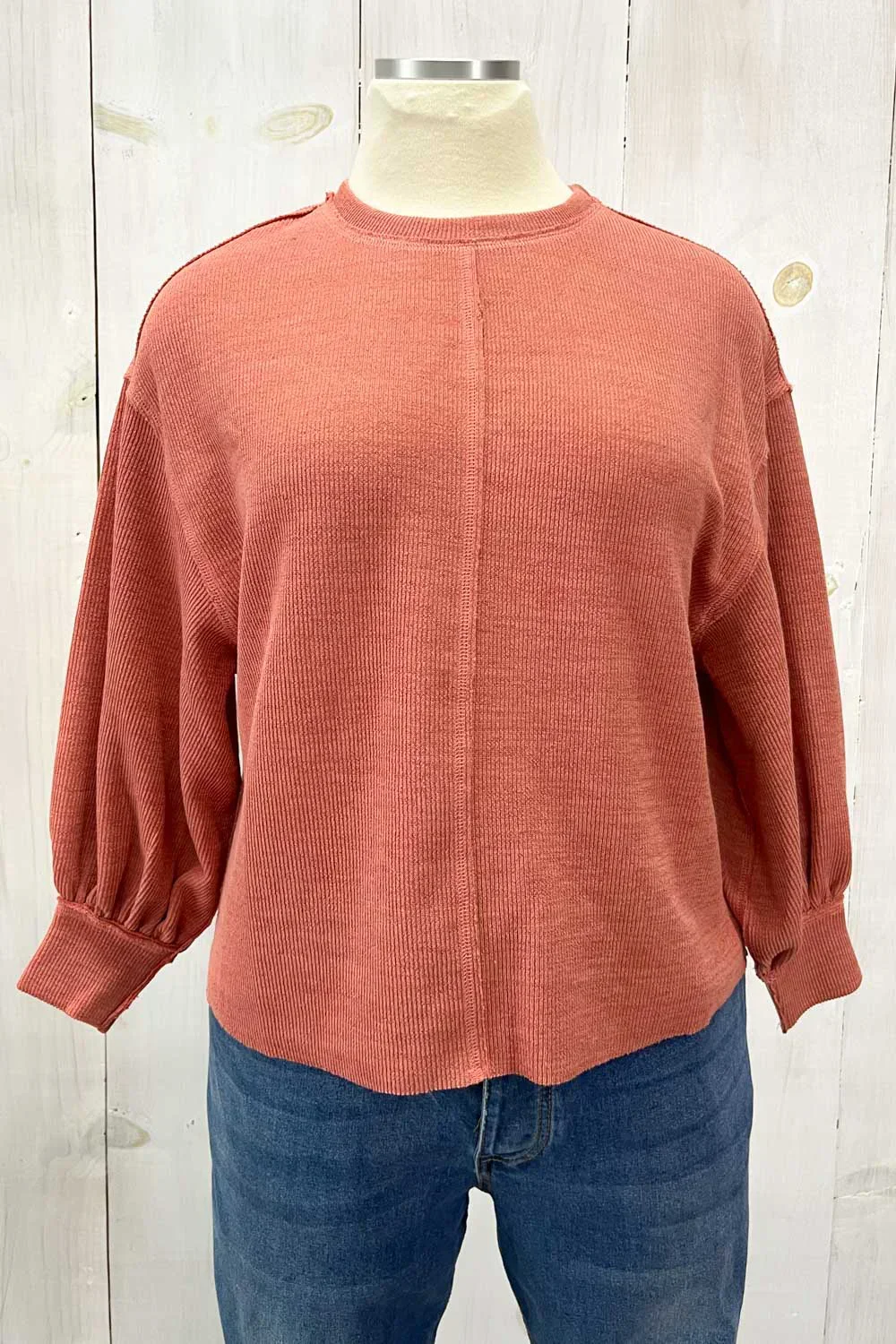 Plus Size Balloon Sleeve Crew Neck Relaxed Fit Boutique Top