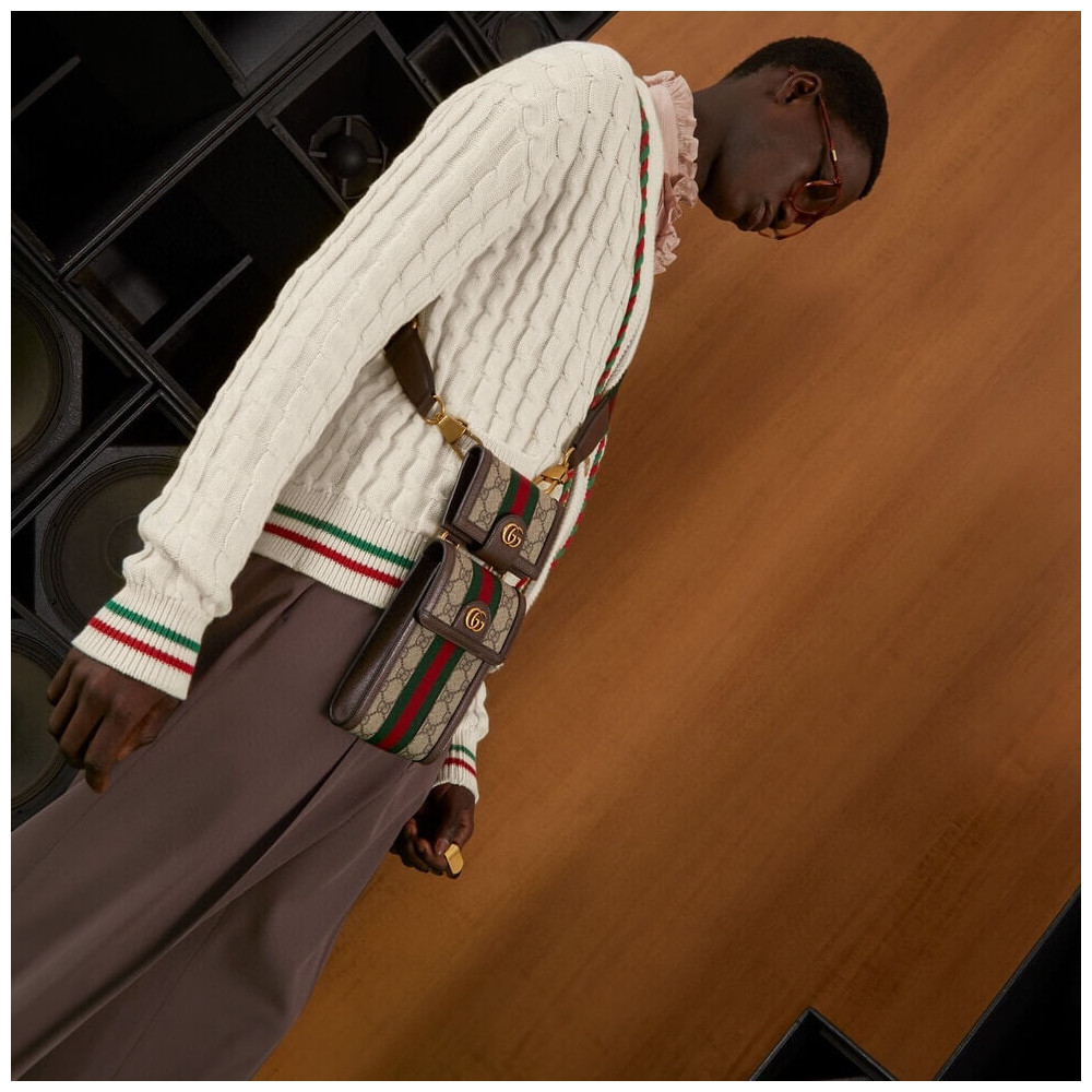 Gucci Ophidia Mini Bag and Detachable Wallet