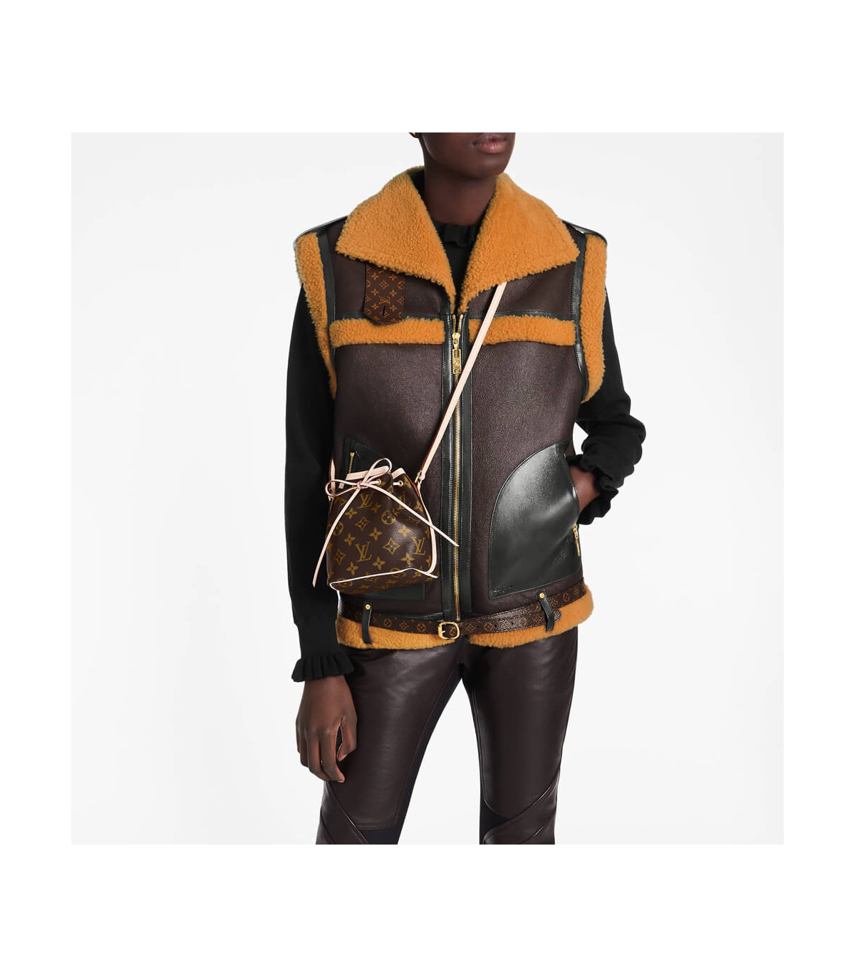 Louis Vuitton Monogram Nano Noe