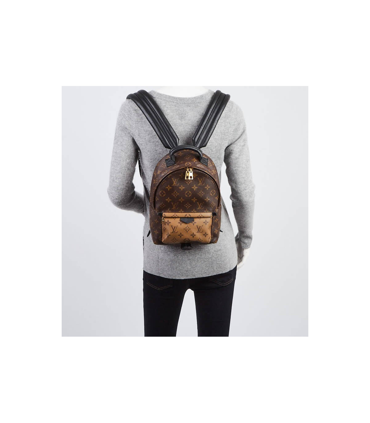 Louis Vuitton Monogram Reverse Palm Springs PM