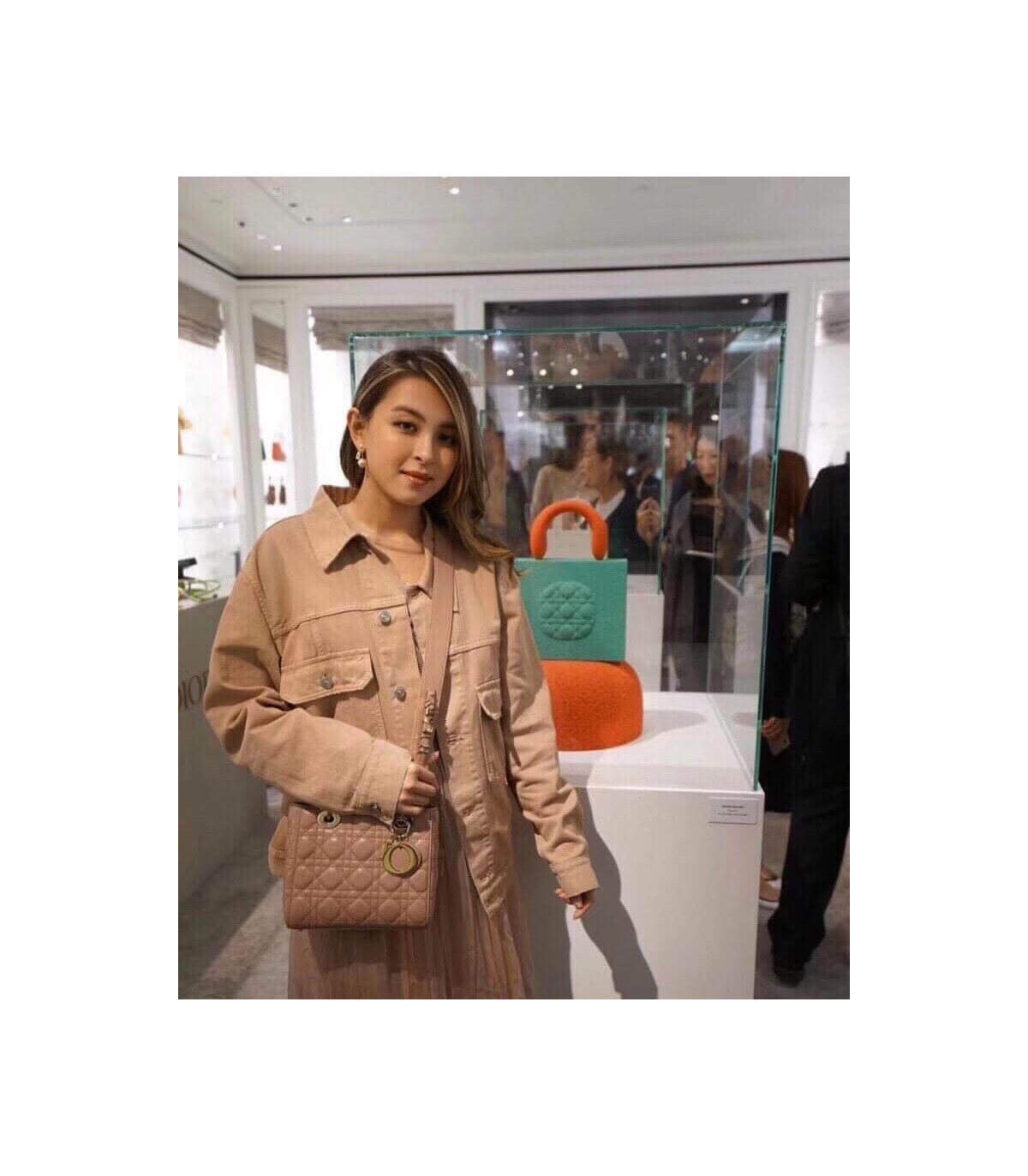 Dior Christian Dior My Lady Dior Bag Blush Cannage Lambskin