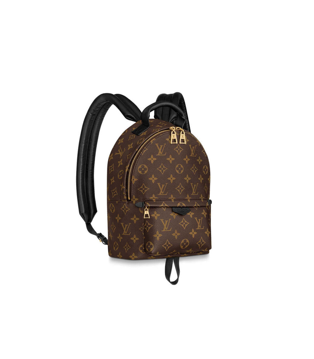 Louis Vuitton Monogram Palm Springs PM