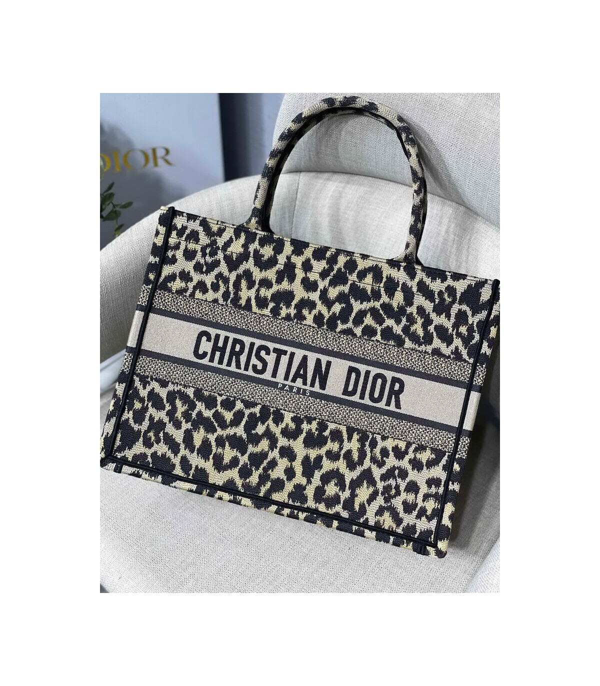Dior Christian Dior Book Tote Ricamo Mizza Beige Multicolore